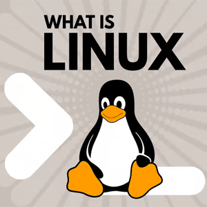linux